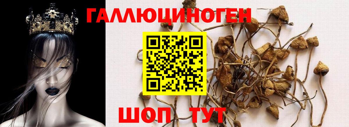 Галлюциногенные грибы мухоморы  Галлюциногенные грибы GOLDEN TEACHER  где найти   Канаш  Вход с VPN 