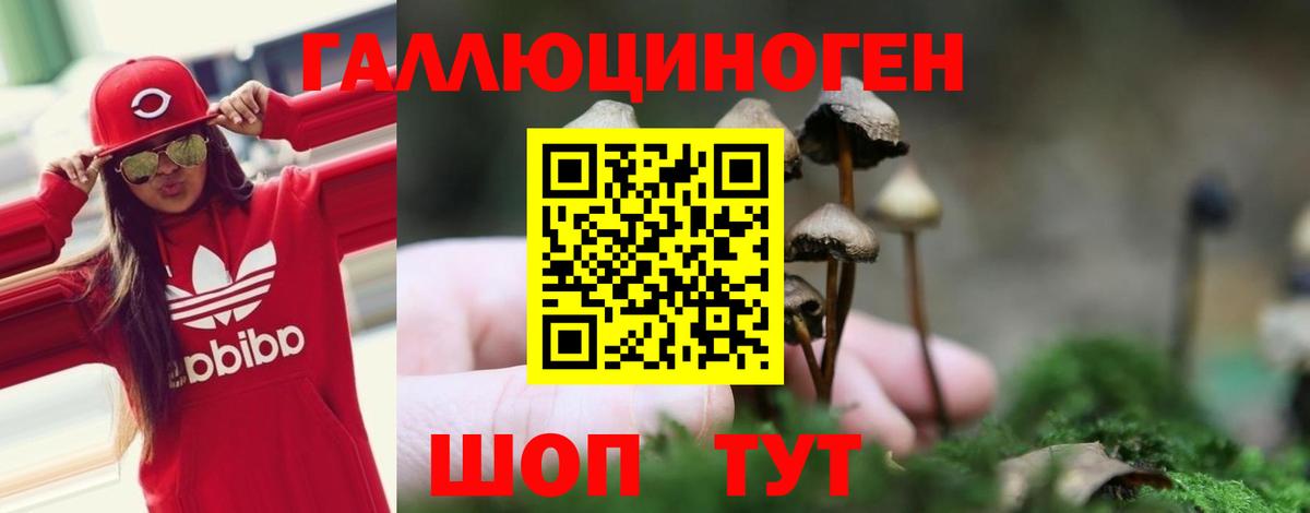 Галлюциногенные грибы прущие грибы Канаш